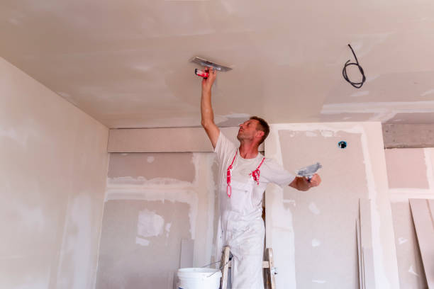 Best Acoustic Drywall Installation  in Laconia, NH